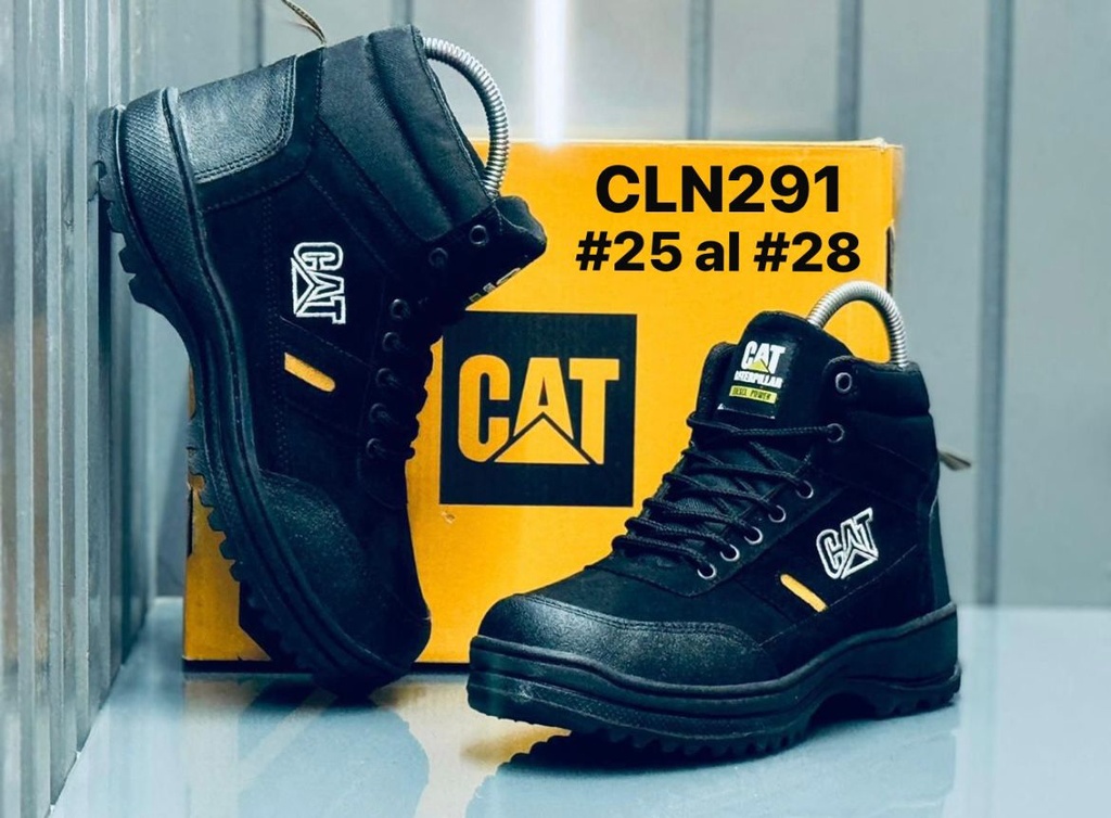 CLN291