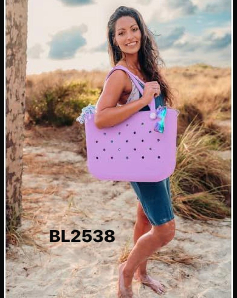 BL2538