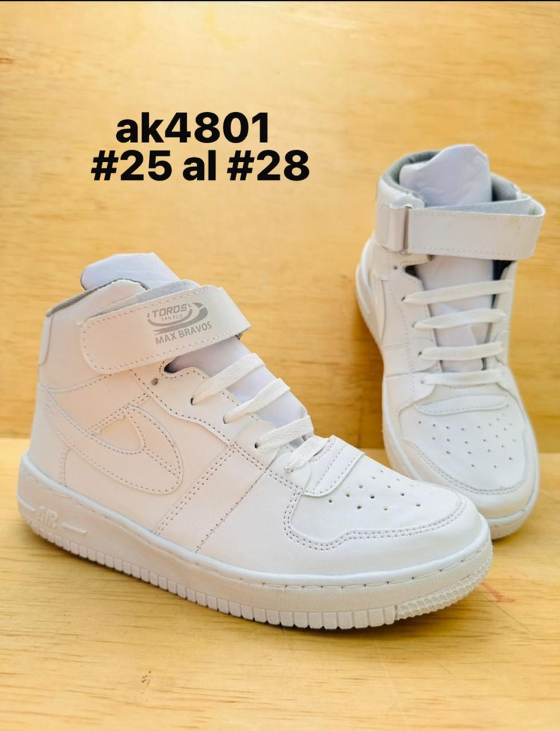 AK4801