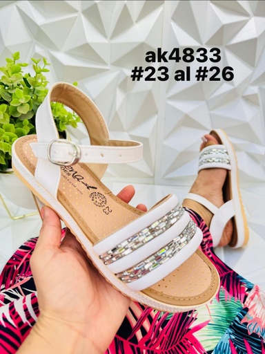 AK4833