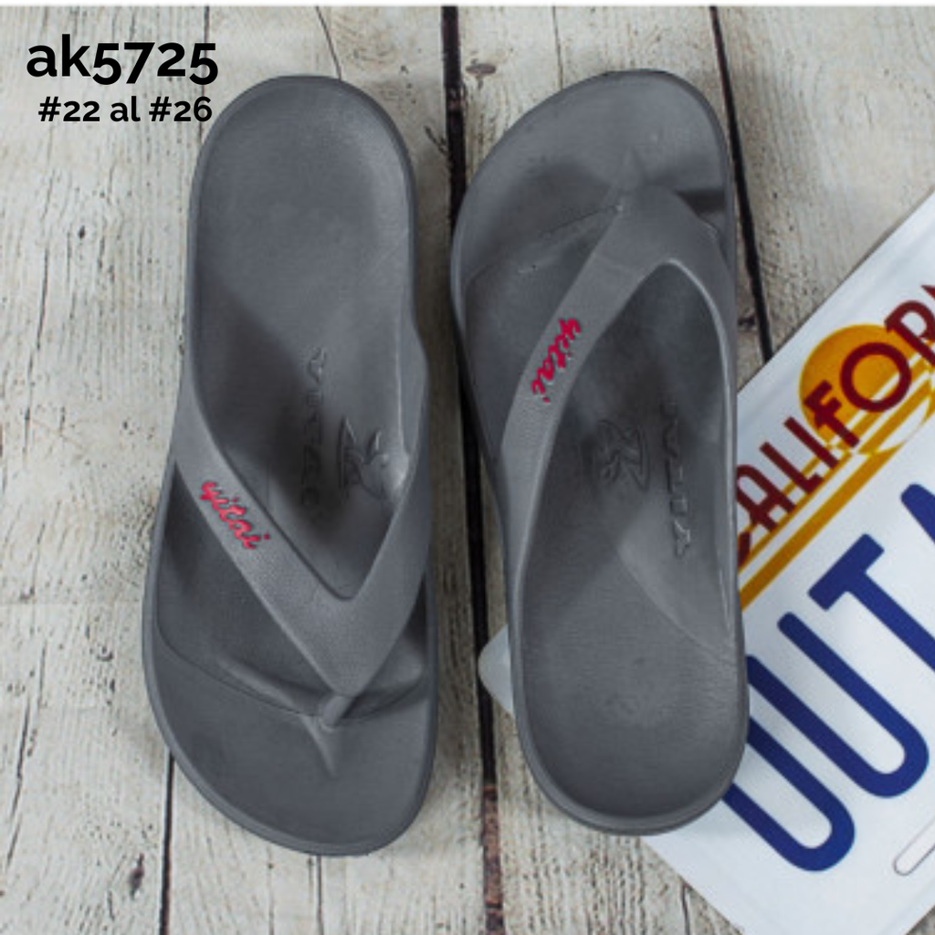 AK5725