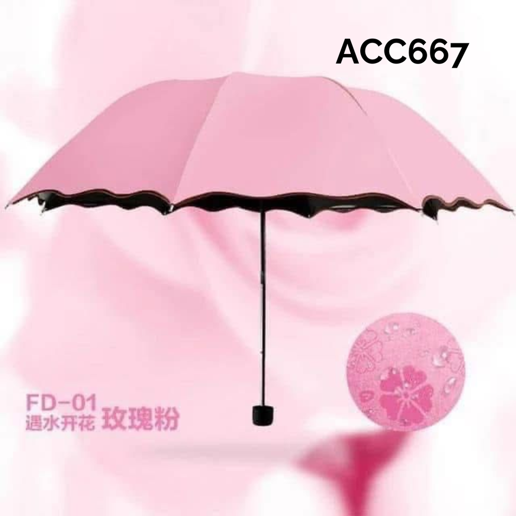 ACC667