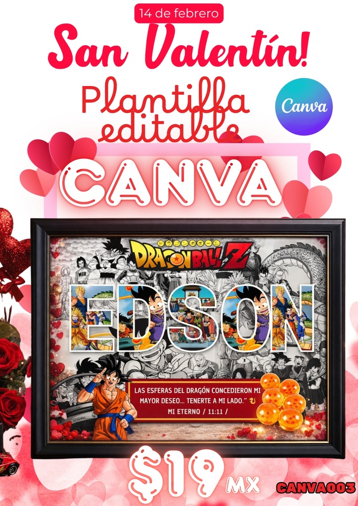 CANVA003