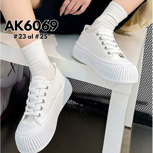 AK6069