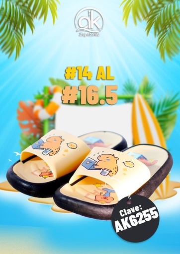 AK6255