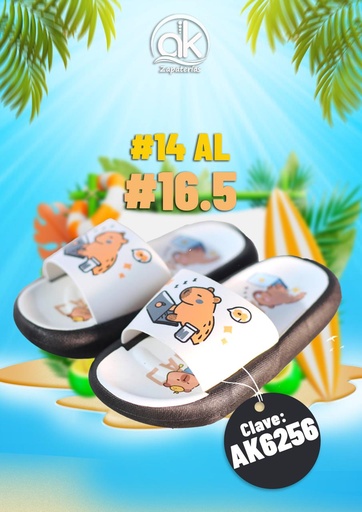 AK6256