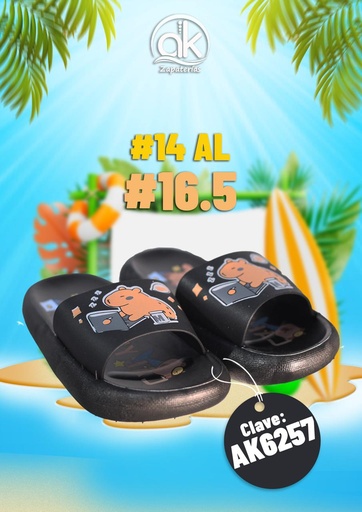 AK6257