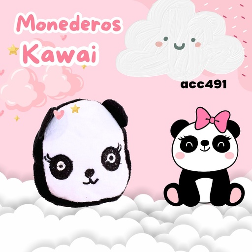 [ACC491] ACC491