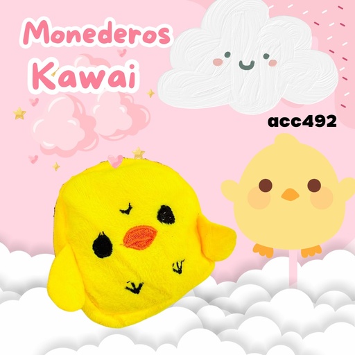 [ACC492] ACC492