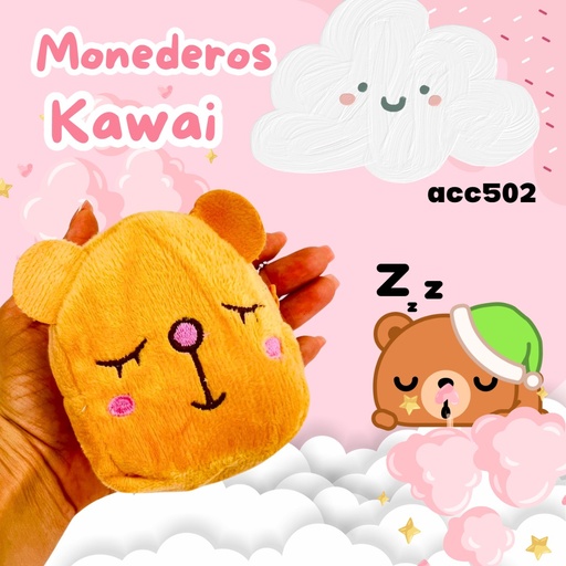 [ACC502] ACC502