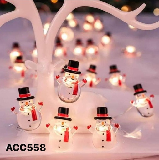 [ACC558] ACC558
