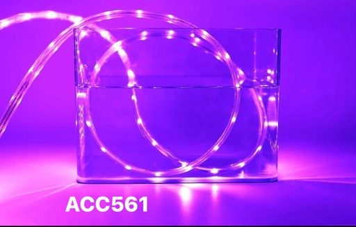 [ACC561] ACC561