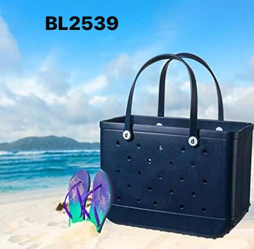 [BL2539] BL2539