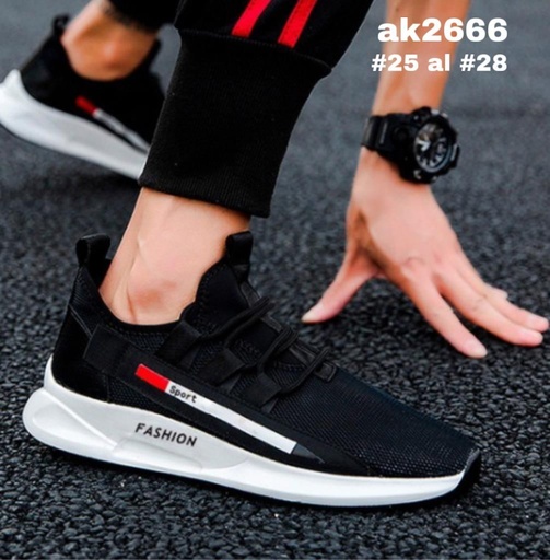 AK2666