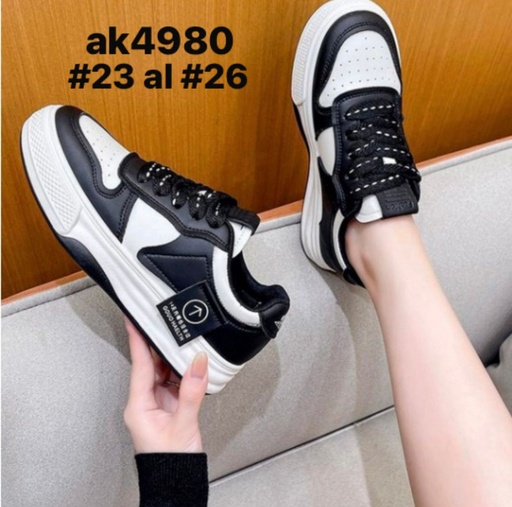 AK4980