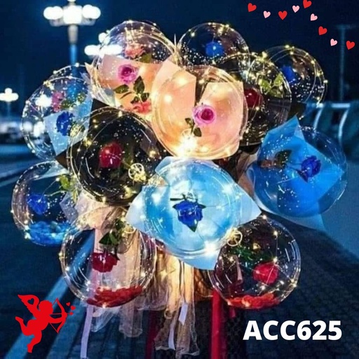 [ACC625] ACC625