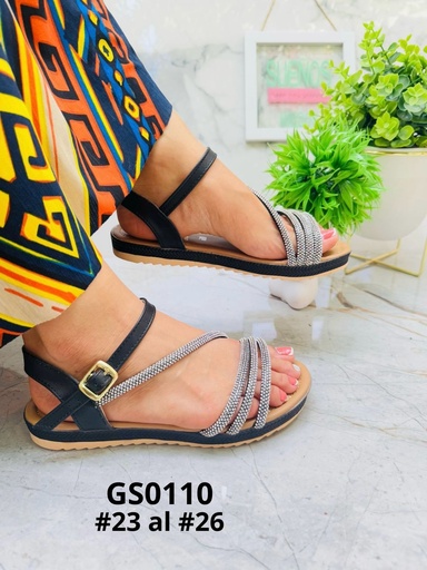 GS0110
