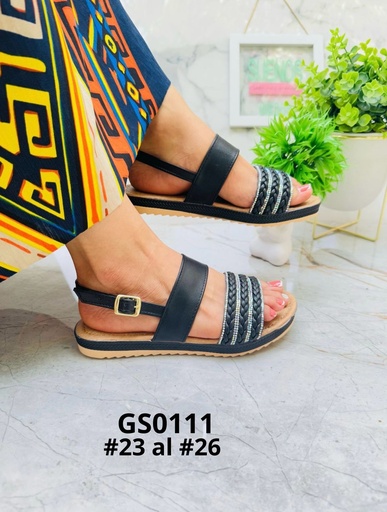 GS0111