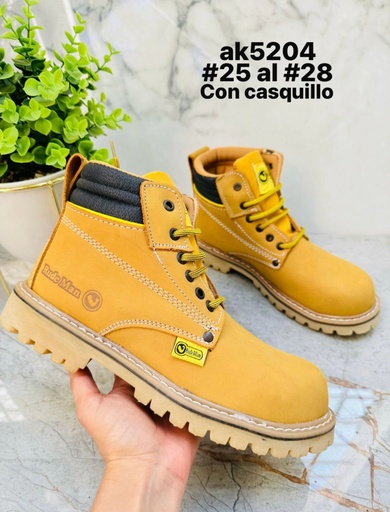 AK5204