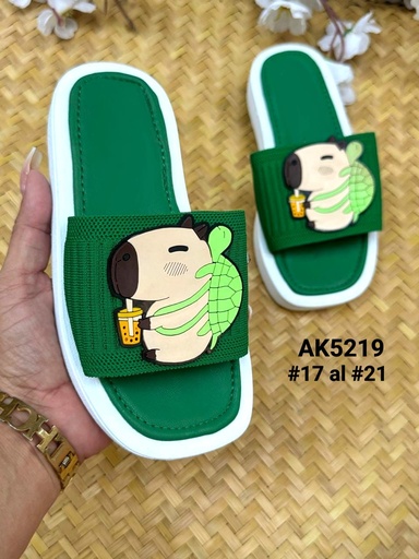 AK5219
