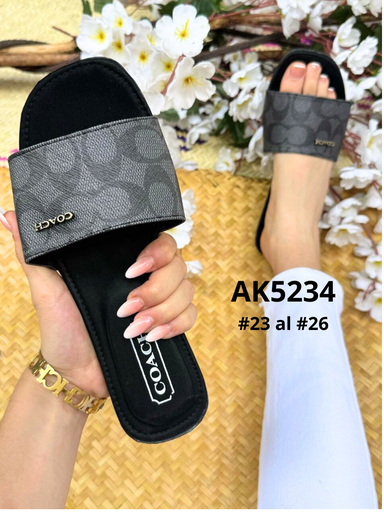 AK5234