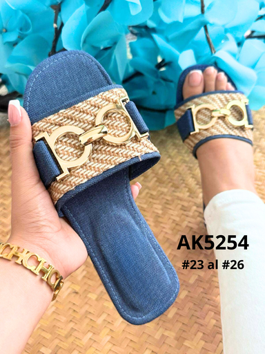AK5254