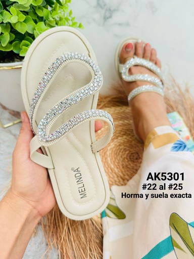 AK5301