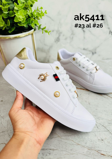 AK5411
