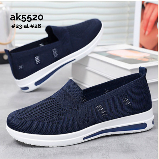 AK5520