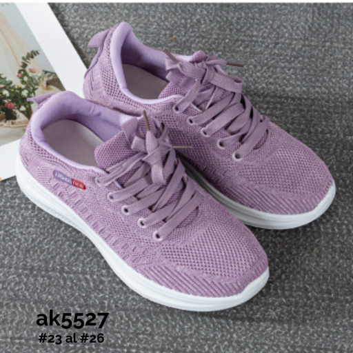 AK5527