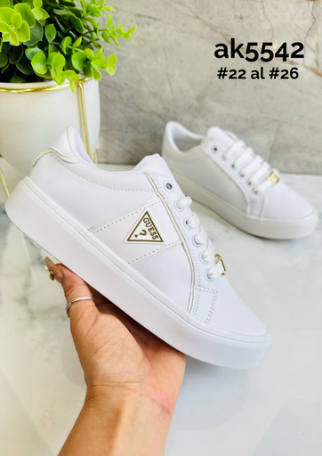 AK5542