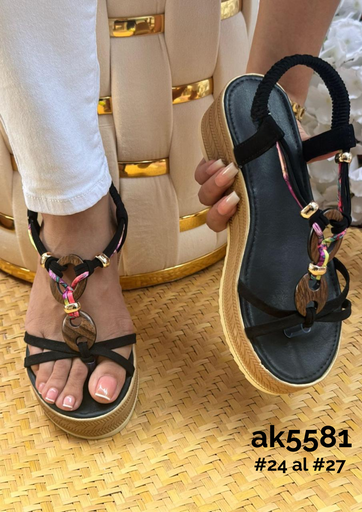 AK5581