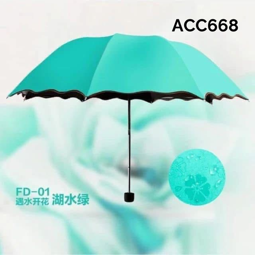 ACC668